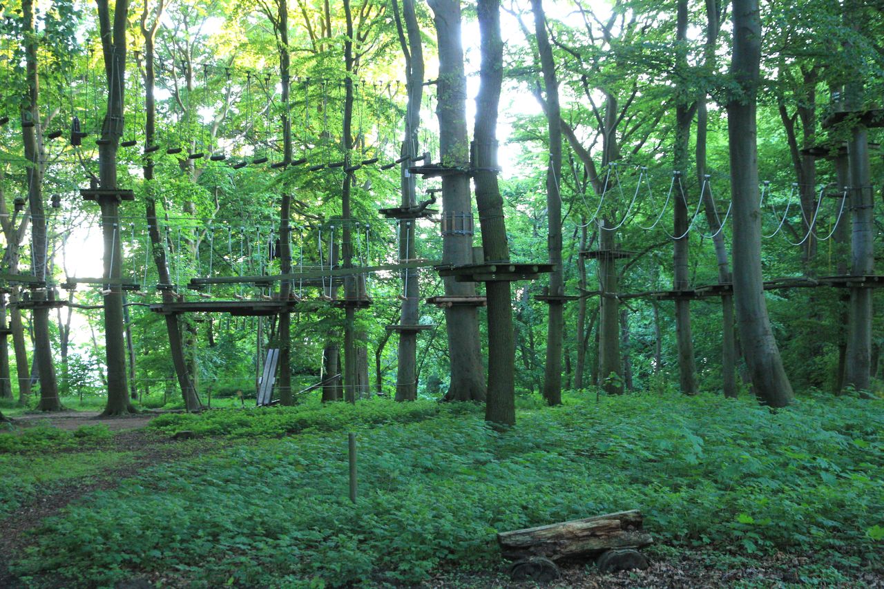 The Waldseilpark (climbing forest) Ruegen